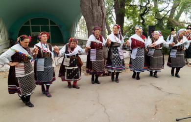 Фотография