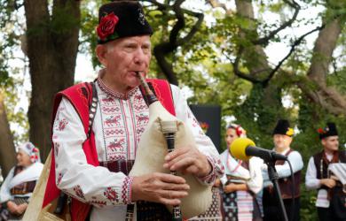 Фотография