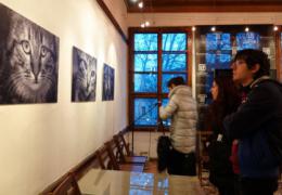 Фотография